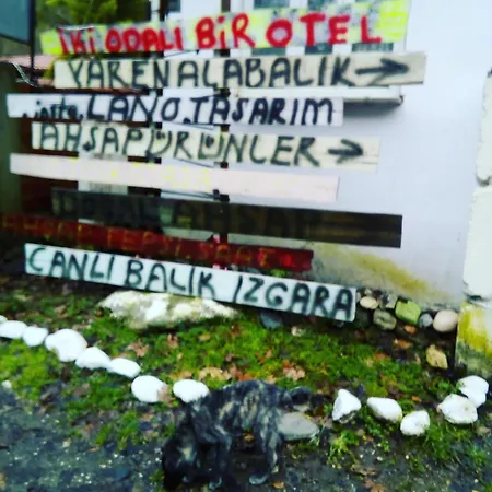2odali1otel